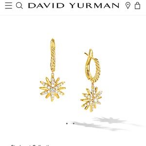 David Yurman ear rings